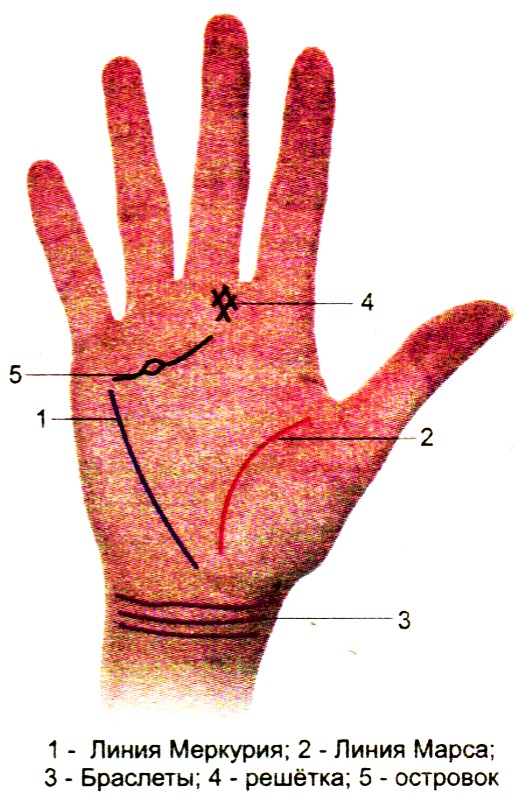 Линия Меркурия На Руке Фото