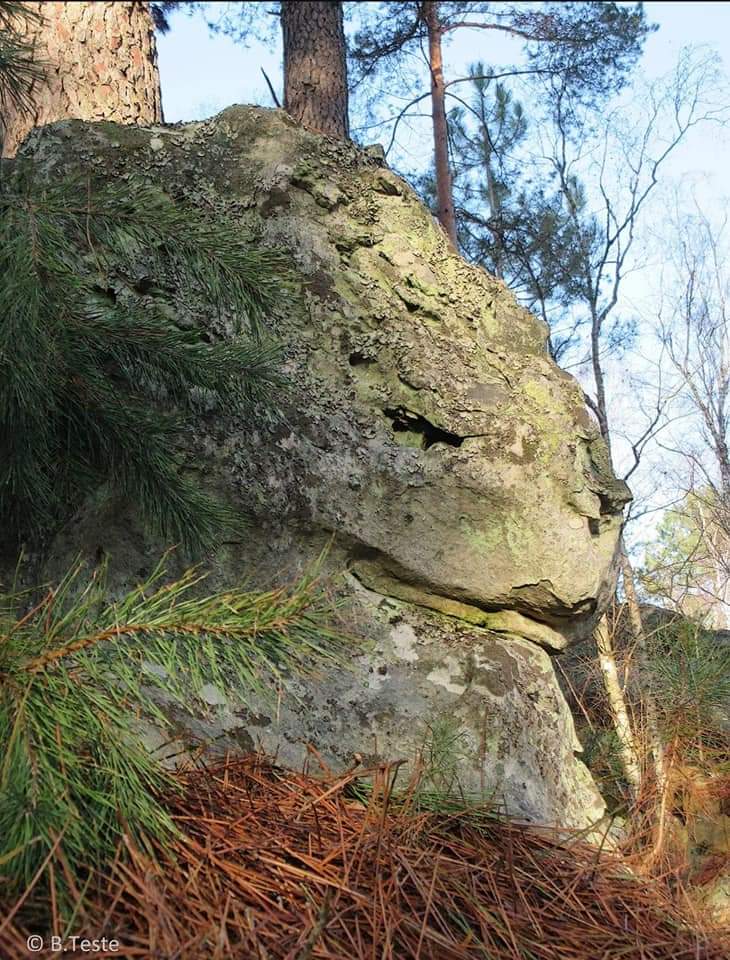 Говорящий камень. Каменный лес Сызрань. Каменный лес Самарская область Красноярский район. Каменный лес под Сызранью. Каменные леса Сызрань.