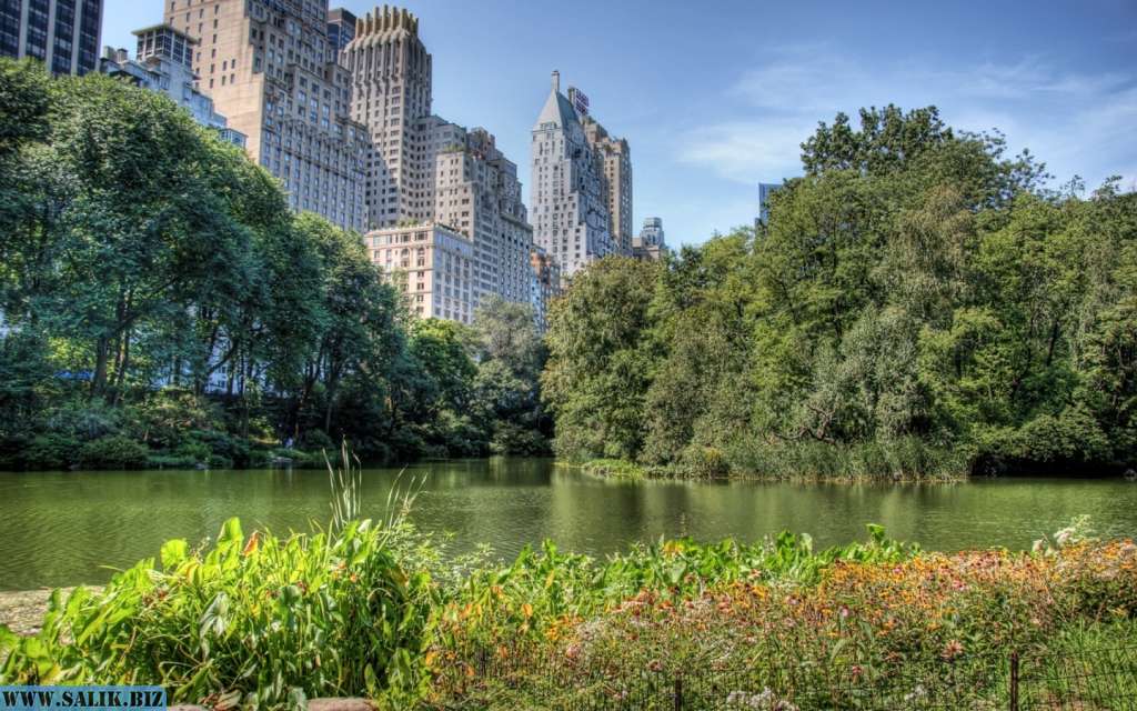 Координаты new york central park