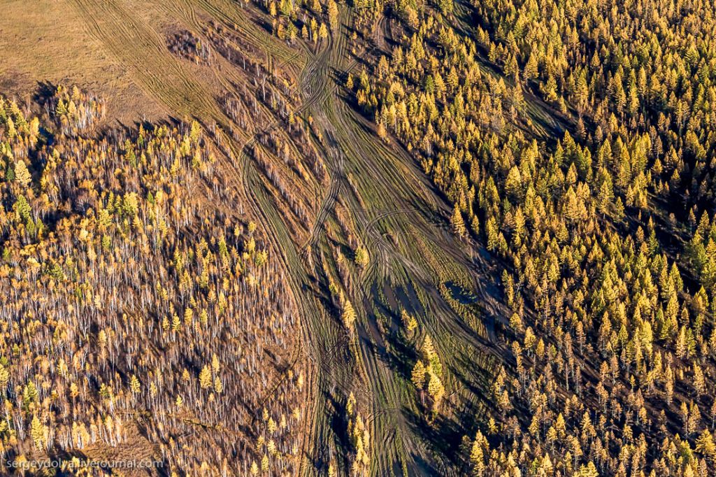 Погода в тайге кемеровская. Якутская Тайга. Площадь тайги в Якутии. Якутия Тайга осень. Якутские тамги.