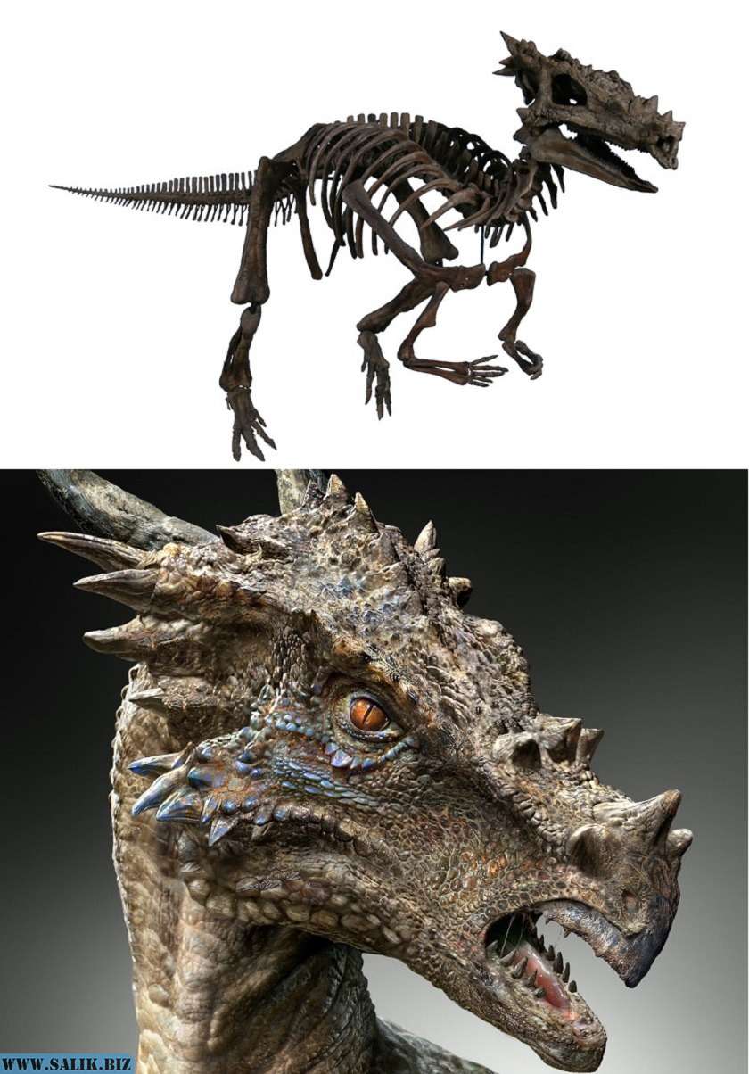 Что такое дракон история 5 класс. Dracorex hogwartsia. ДРАКОРЕКС Jurassic World. ДРАКОРЕКС Хогвартский. ДРАКОРЕКС портал Юрского периода.