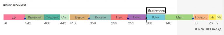 Шкала времени. Шкала времени по истории. Шкала годов. Шкала времени дня.