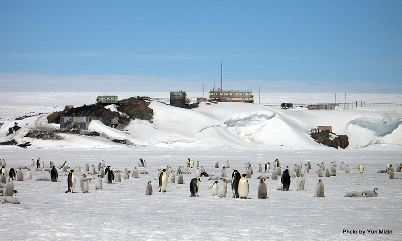 Антарктическая станция Мирный, 2006 год