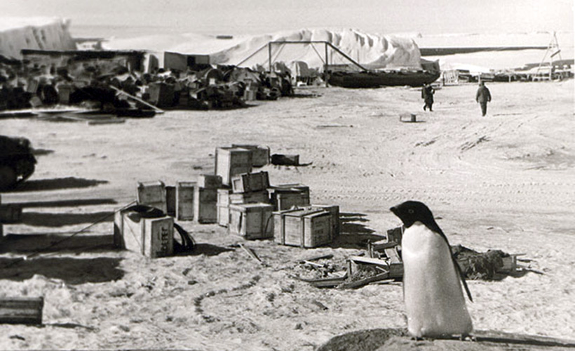 Антарктическая станция Мирный, 1956 год