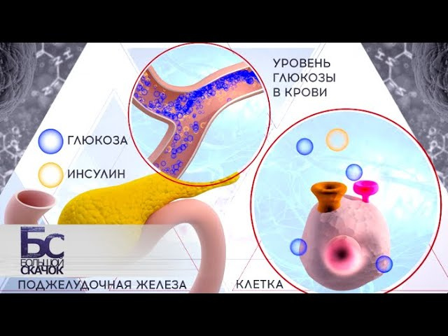 Большой скачок 2020. Большой скачок Телеканал наука. Сахар большой скачок 18 что будет.